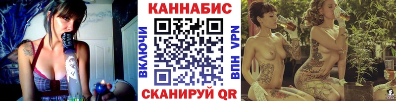 Где продают наркотики Шенкурск ГАШИШ Канабис Мефедрон