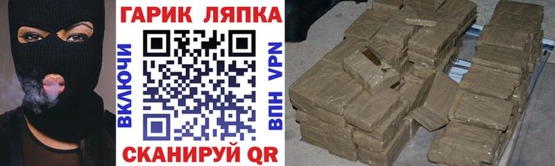 ГАШ Premium Шенкурск