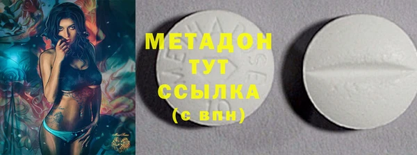 индика Абаза