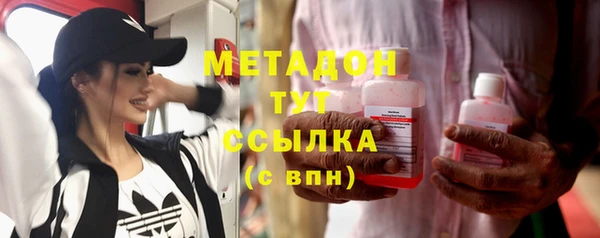 индика Абаза