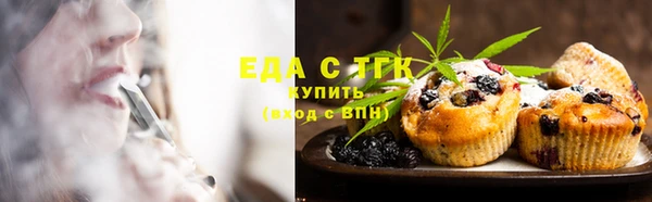 индика Абаза
