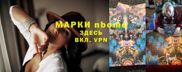 индика Абаза