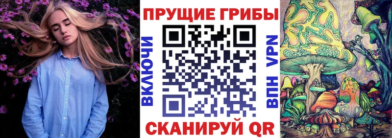 Галлюциногенные грибы GOLDEN TEACHER  kraken зеркало  Шенкурск 
