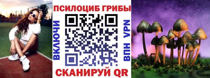 Галлюциногенные грибы прущие грибы Шенкурск