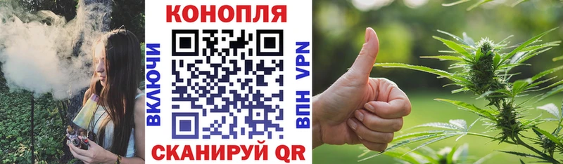 Конопля MAZAR Шенкурск